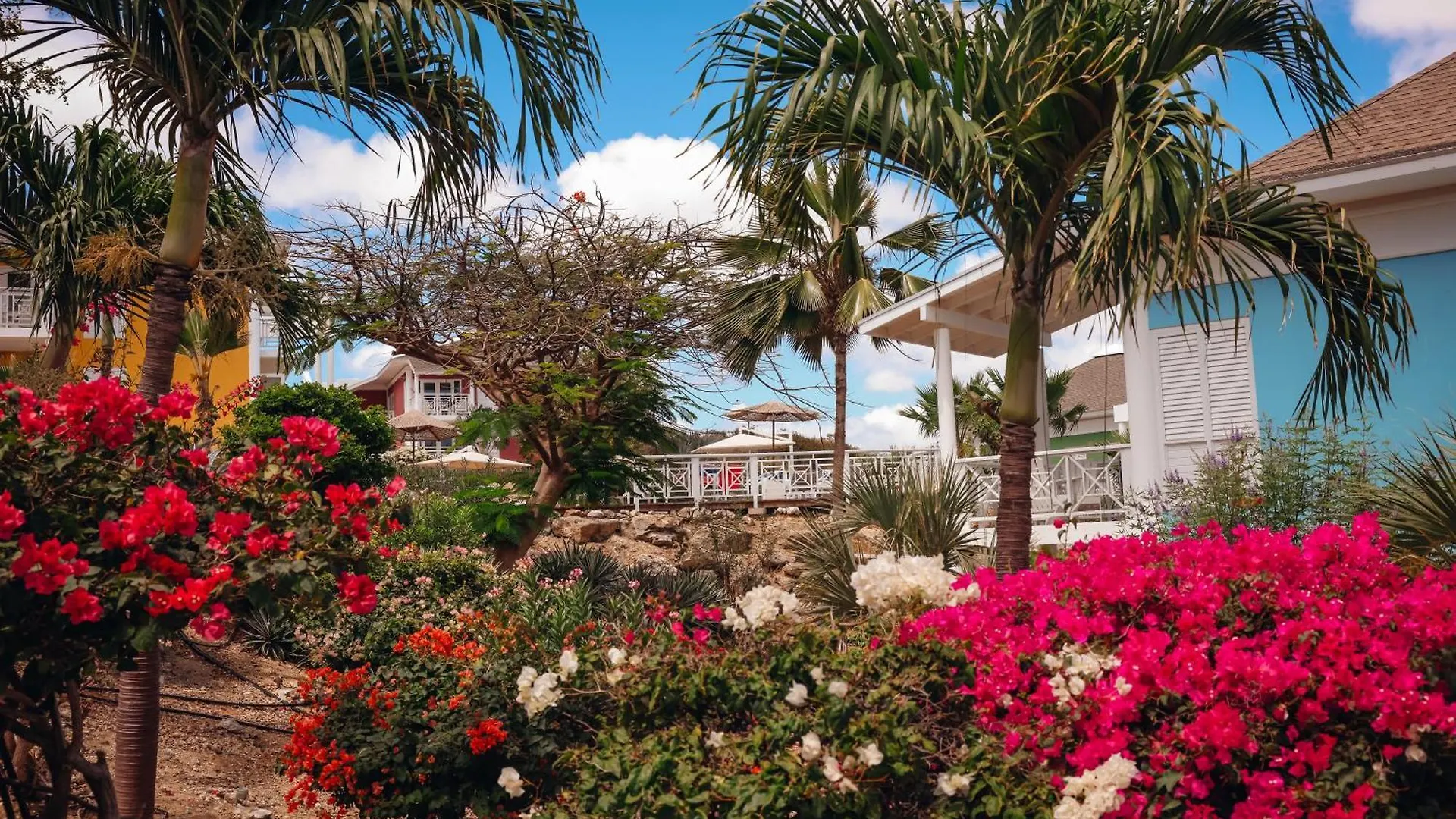 Chogogo Dive & Beach Resort Curacao Jan Thiel Curaçao