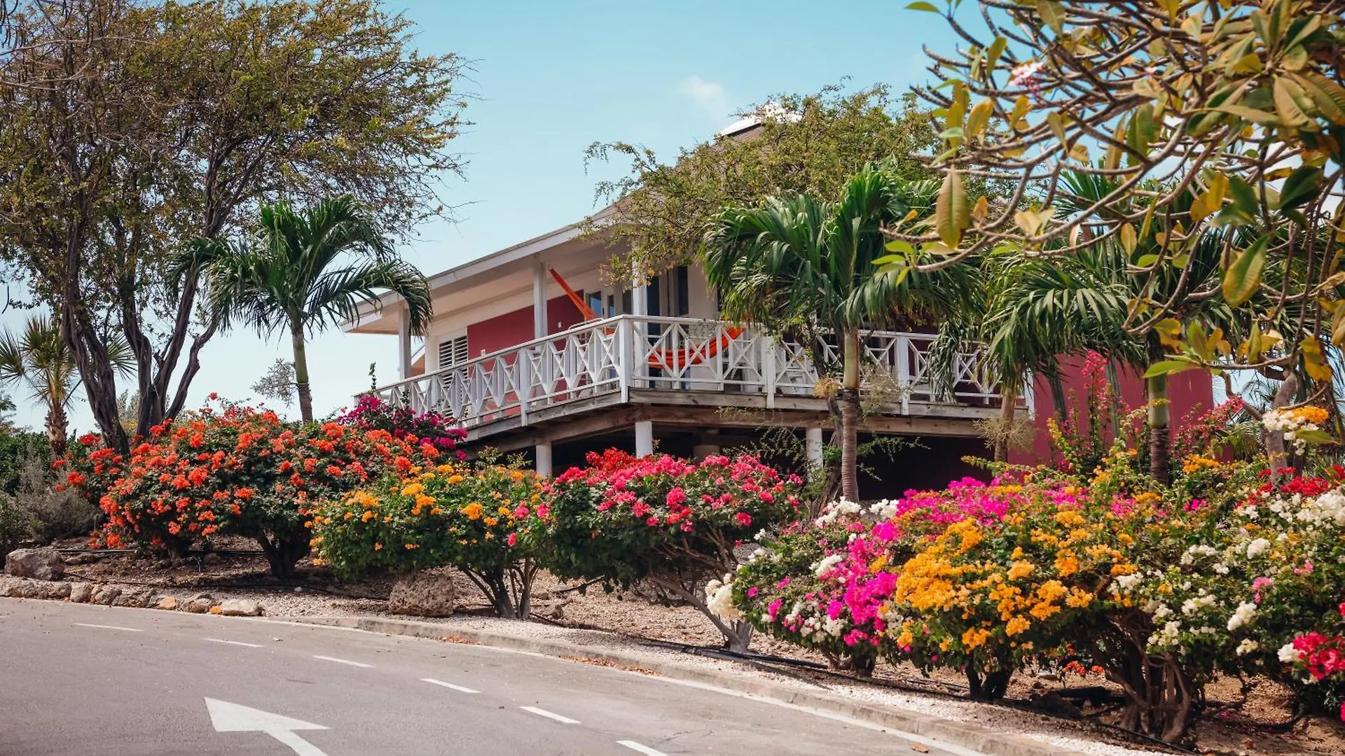 **** Отель Chogogo Dive & Beach Resort Curacao Ян-Тил Кюрасао