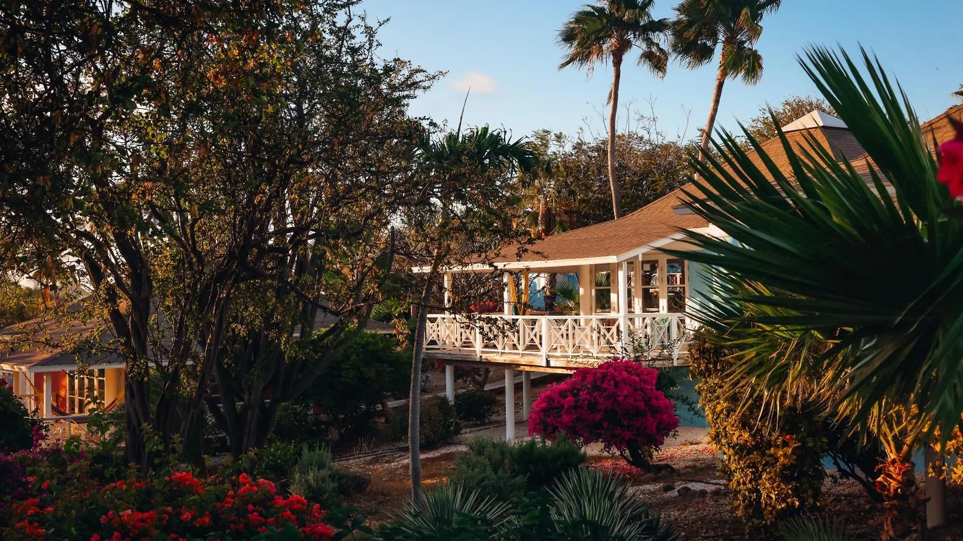 Chogogo Dive & Beach Resort Curacao Ян-Тил 4*,